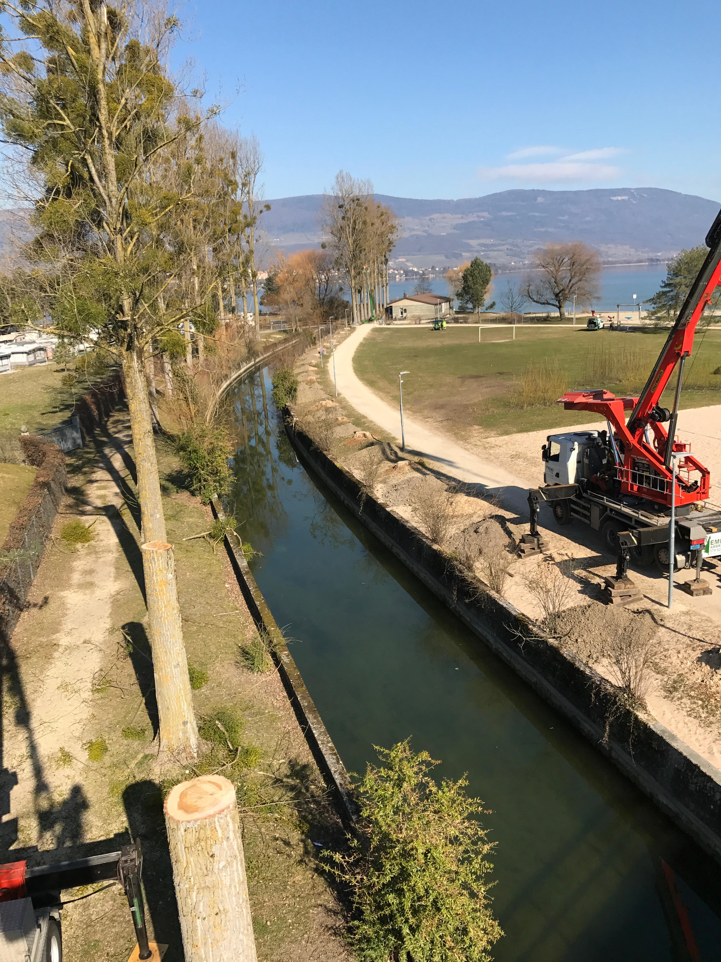 Défrichement et déboisement dans le Jura — SAS POLYVIER
